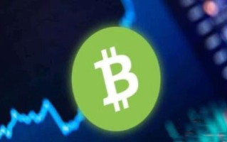 bch币未来能涨到多少钱一个 2024-2030比特币现金(bch)价格预测